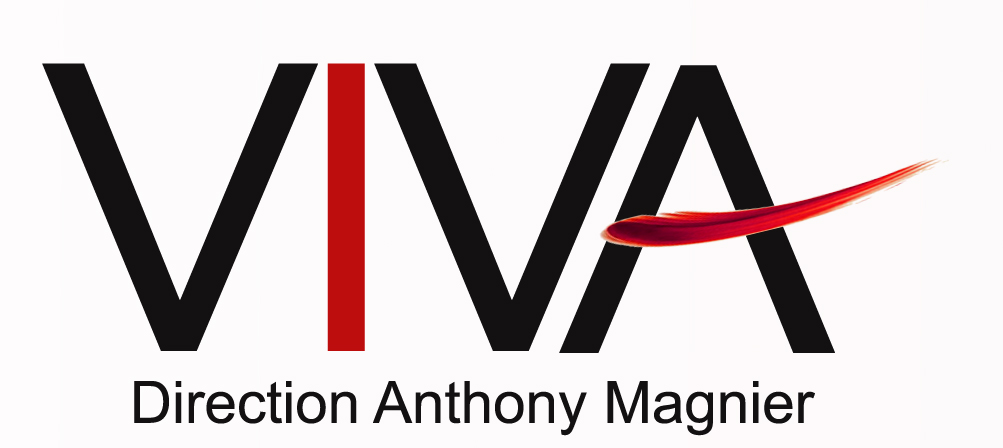 La Compagnie Viva recherche un.e stagiaire longue durée - possibilité évolution sur un emploi