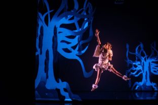 Le Renard et la Terre par la Compagnie Viva, photo de scène