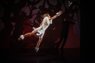 Le Renard et la Terre par la Compagnie Viva, photo de scène