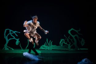 Le Renard et la Terre par la Compagnie Viva, photo de scène