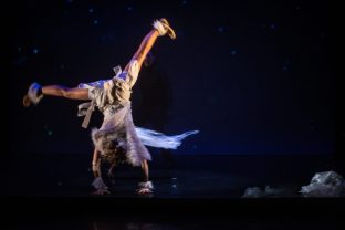 Le Renard et la Terre par la Compagnie Viva, photo de scène