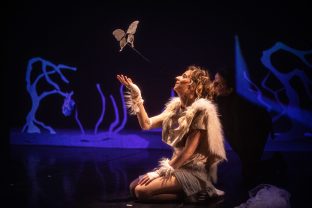 Le Renard et la Terre par la Compagnie Viva, photo de scène