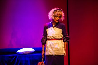 La Puce à l'oreille de Feydeau par la Compagnie Viva, photo de scène